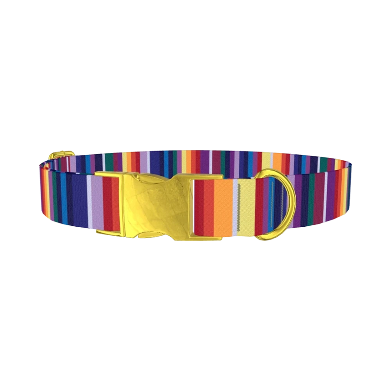 Colorful Mexican Stripe Dog Collar - metal gold