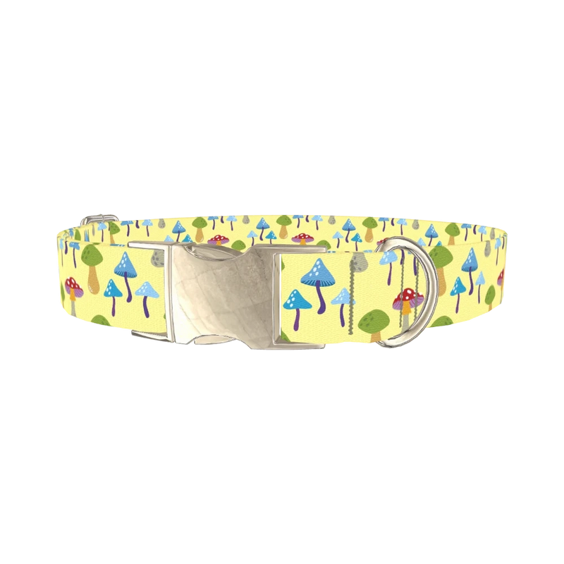 Colorful Mushroom Forest Dog Collar - metal silver