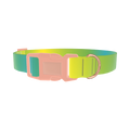 Gradient Color Dog Collar - plastic rose gold