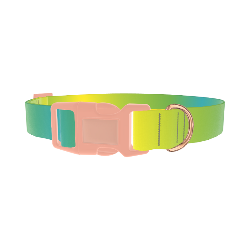 Gradient Color Dog Collar - plastic rose gold