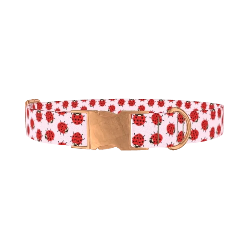 Ladybug Print Dog Collar - metal rose gold