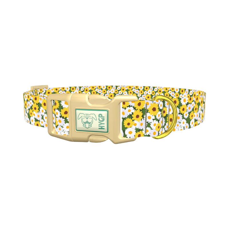 White and Yellow Daisy Dog Collar - plastic gold