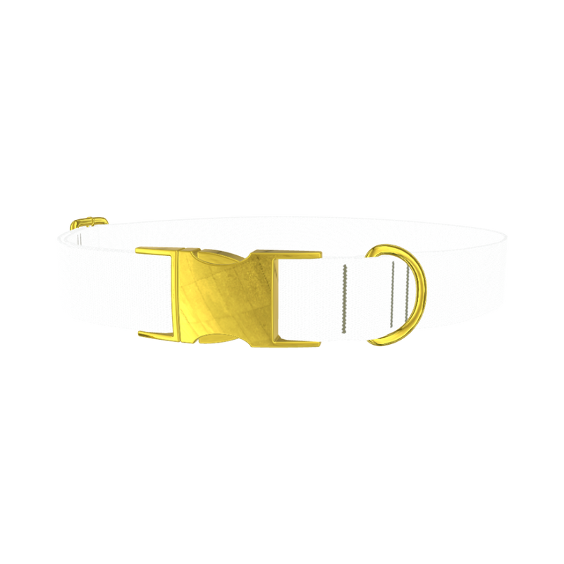 Dinosaur UFO Dog Collar - metal gold