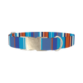 Orange Blue Stripes Dog Collar - metal silver