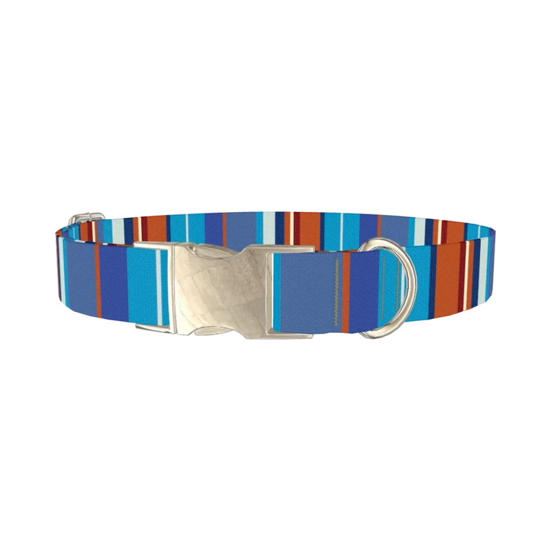 Orange Blue Stripes Dog Collar - metal silver
