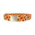Halloween Witch Stripes Dog Collar - metal gold