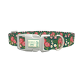Tropical Floral Dog Collar - plastic silver