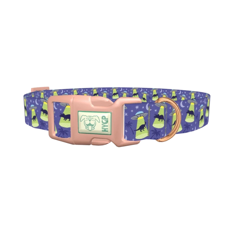 Dinosaur UFO Dog Collar - plastic rose gold