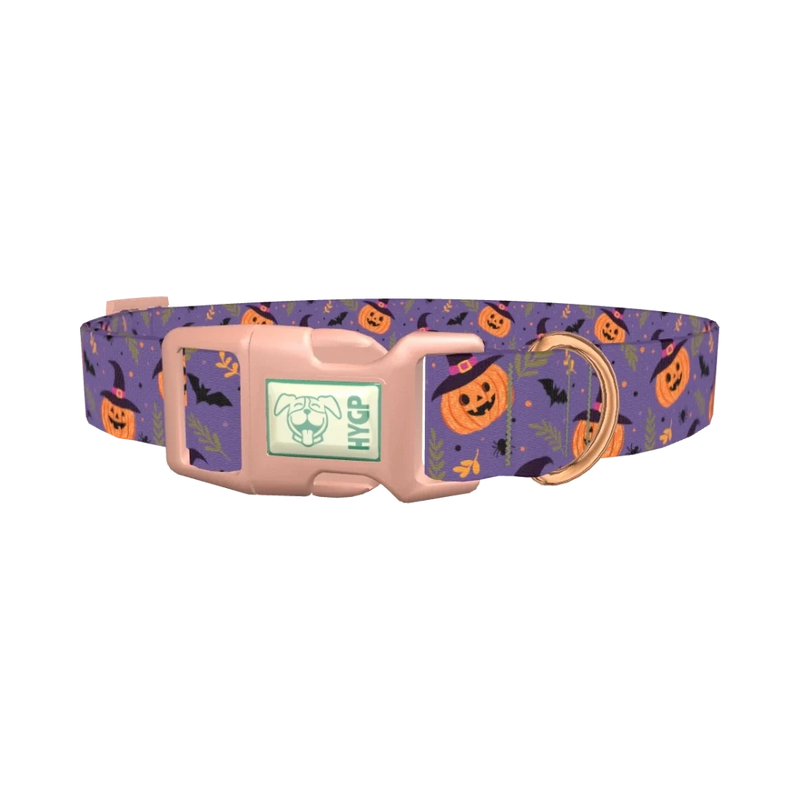 Halloween Witchy Pumpkin Dog Collar - plastic rose gold