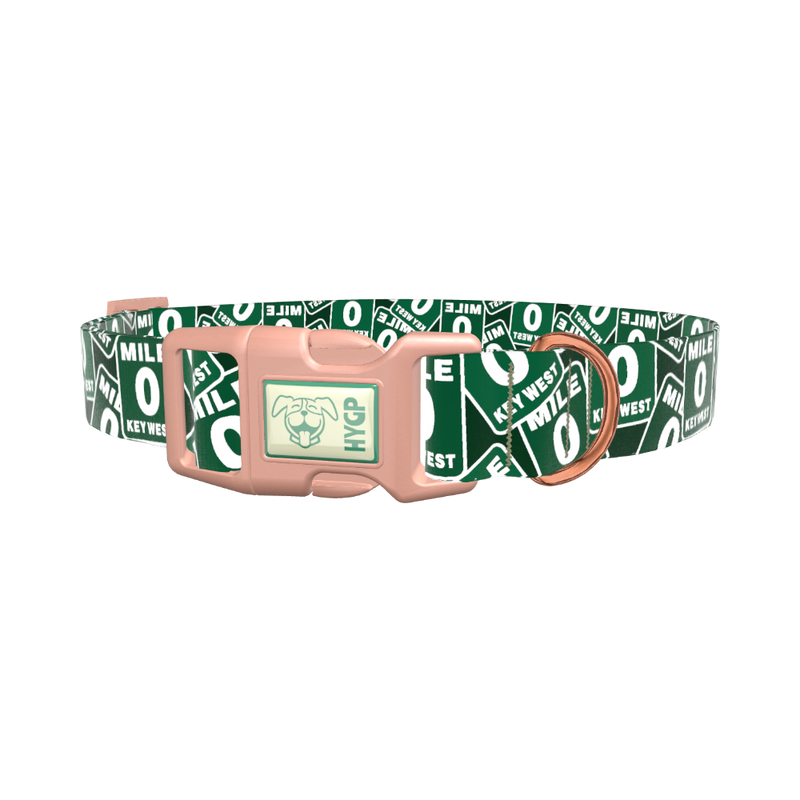 Key West Road Sign Dog Collar - plastic gold