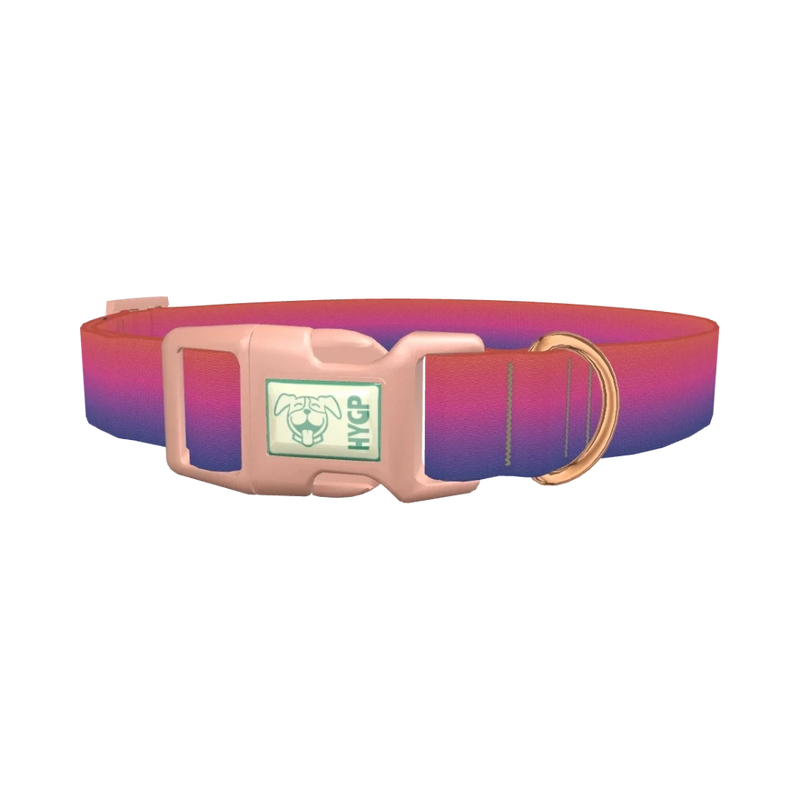 Gradient Pink Blue Dog Collar - plastic rose gold