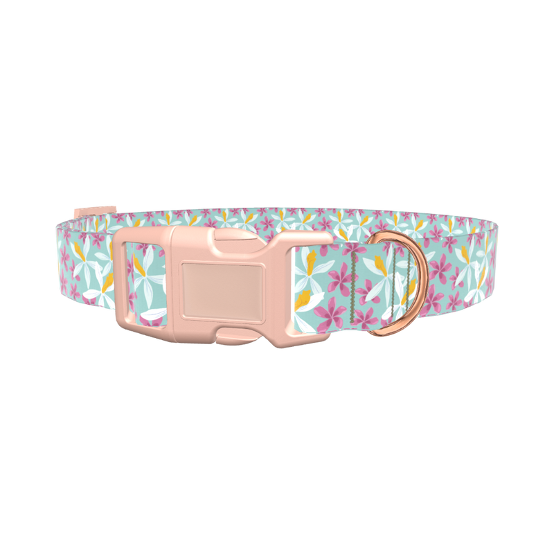 Tropical Orchid Dog Collar - plastic gold
