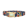 Football Stripes Dog Collar - plastic gold