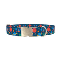 Space Adventure Dog Collar - metal silver