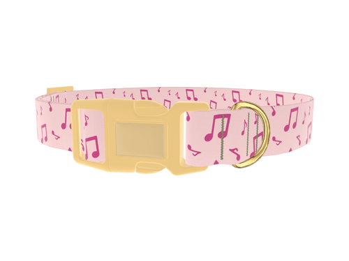 Musical Note Dog Collar