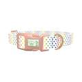 Rainbow Polka Dot Dog Collar - plastic rose gold