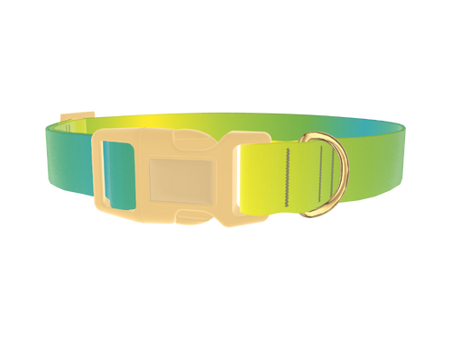 Gradient Color Dog Collar
