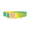 Gradient Color Dog Collar - plastic gold