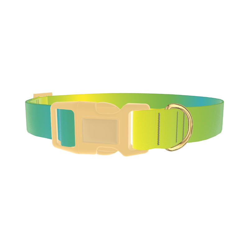 Gradient Color Dog Collar - plastic gold