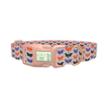 Colorful Bat Pattern Dog Collar - plastic rose gold