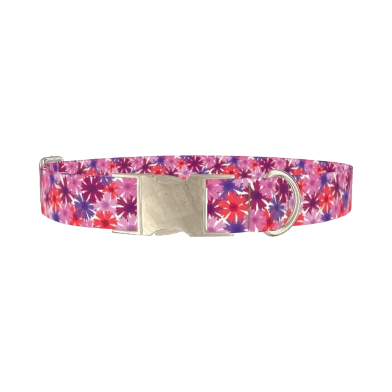 Colorful Cornflower Dog Collar - metal silver