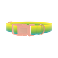 Gradient Dog Collar - plastic rose gold