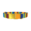 Vibrant Stripe Dog Collar - metal gold