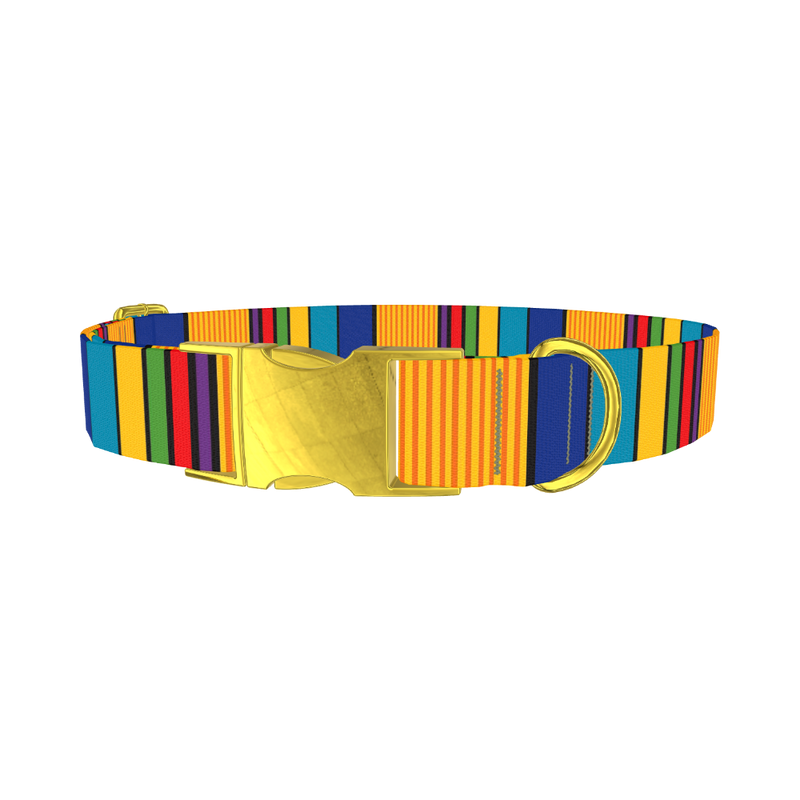Vibrant Stripe Dog Collar - metal gold
