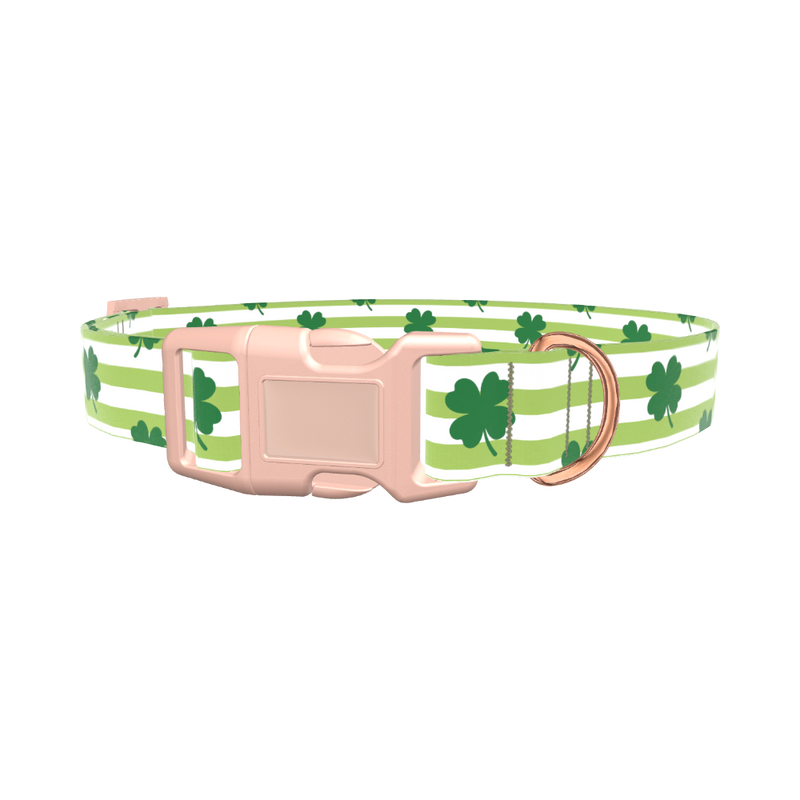 Clover Stripe Dog Collar - plastic gold