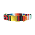 Mexican Stripe Pattern Dog Collar - metal gold