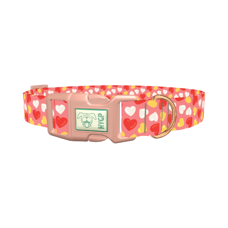 Sweetheart Pattern Dog Collar - plastic rose gold