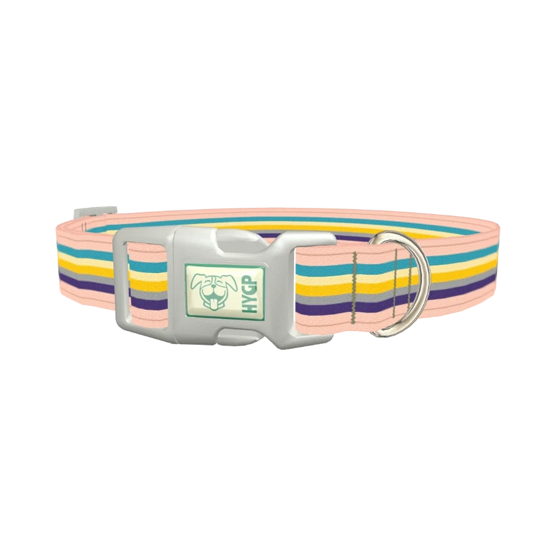 Multicolor Stripes Dog Collar - plastic silver