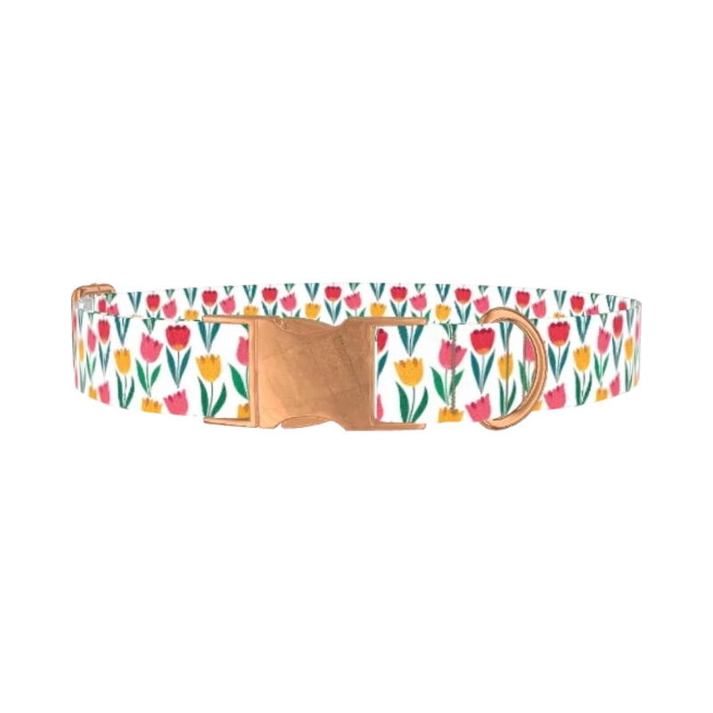 Colorful Tulip Dog Collar - metal rose gold