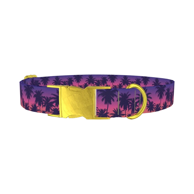Tropical Sunset Dog Collar - metal gold