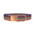 Southwestern Stripe Dog Collar - metal rose gold