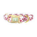 Floral Cherry Blossom Dog Collar - plastic gold