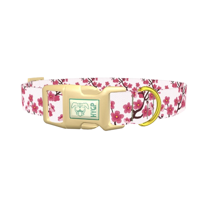Floral Cherry Blossom Dog Collar - plastic gold
