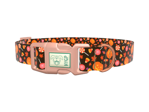 Halloween Candy Pumpkin Dog Collar