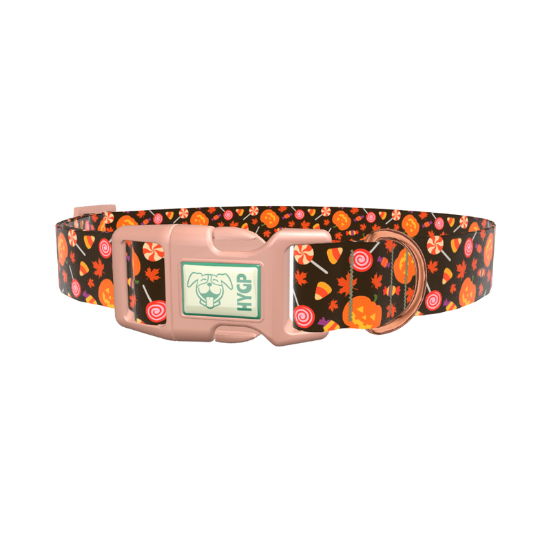 Halloween Candy Pumpkin Dog Collar - plastic gold