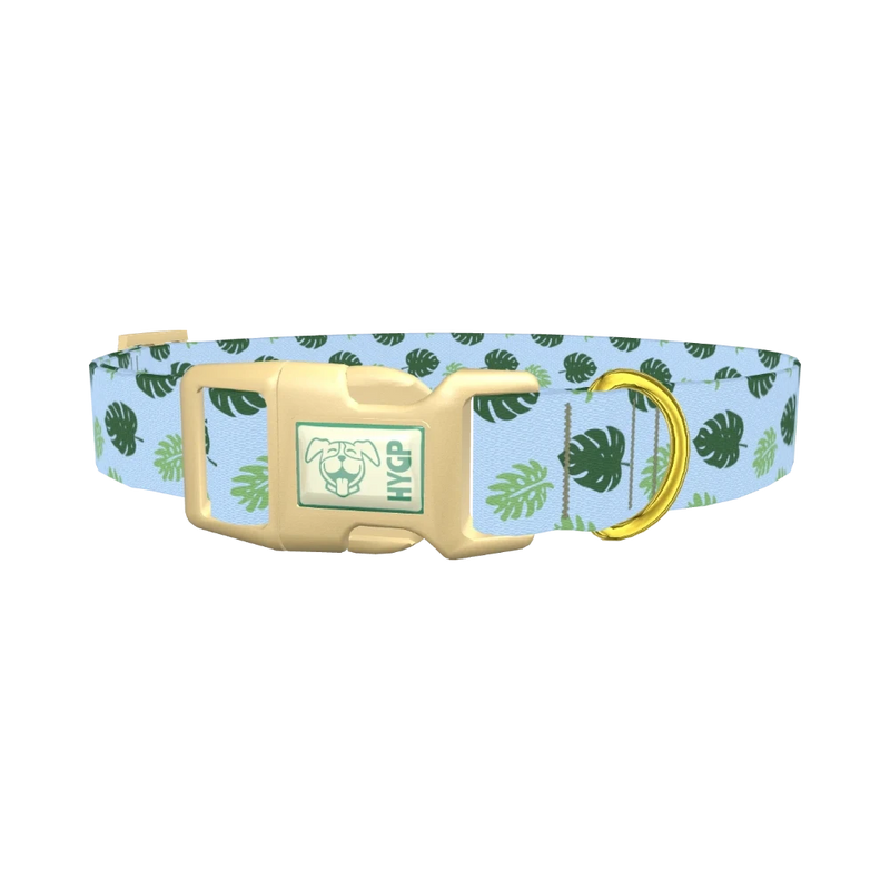Monstera Leaf Dog Collar - plastic gold
