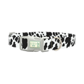 Cow Pattern Dog Collar - plastic silver