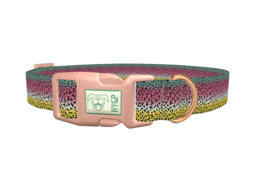 Rainbow Trout Pattern Dog Collar