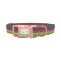 Rainbow Trout Pattern Dog Collar - plastic rose gold