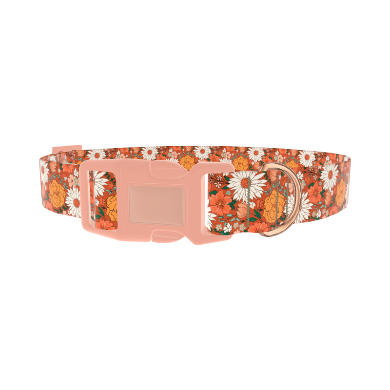 Autumn Floral Dog Collar - plastic rose gold