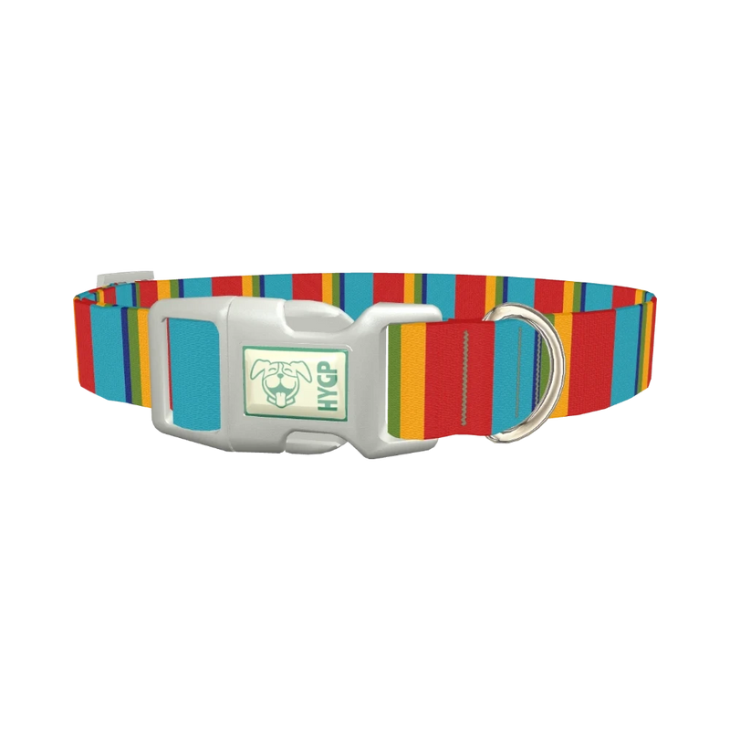 Red Turquoise Stripe Dog Collar - plastic silver