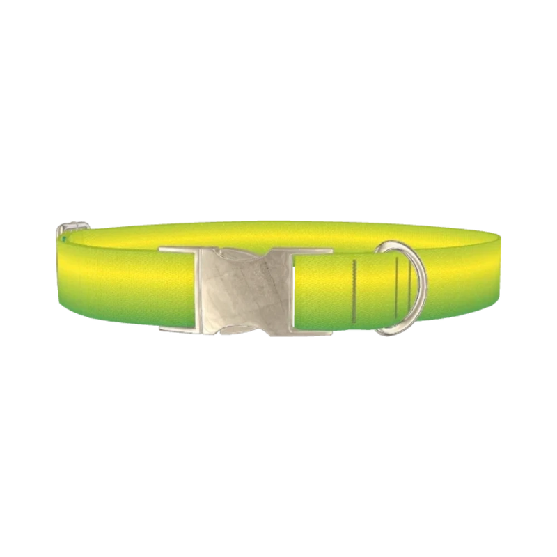 Abstract Paint Dog Collar - metal silver