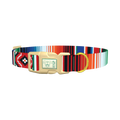 Mexican Stripe Pattern Dog Collar - plastic gold
