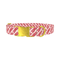 Bacon Pattern Dog Collar - metal gold