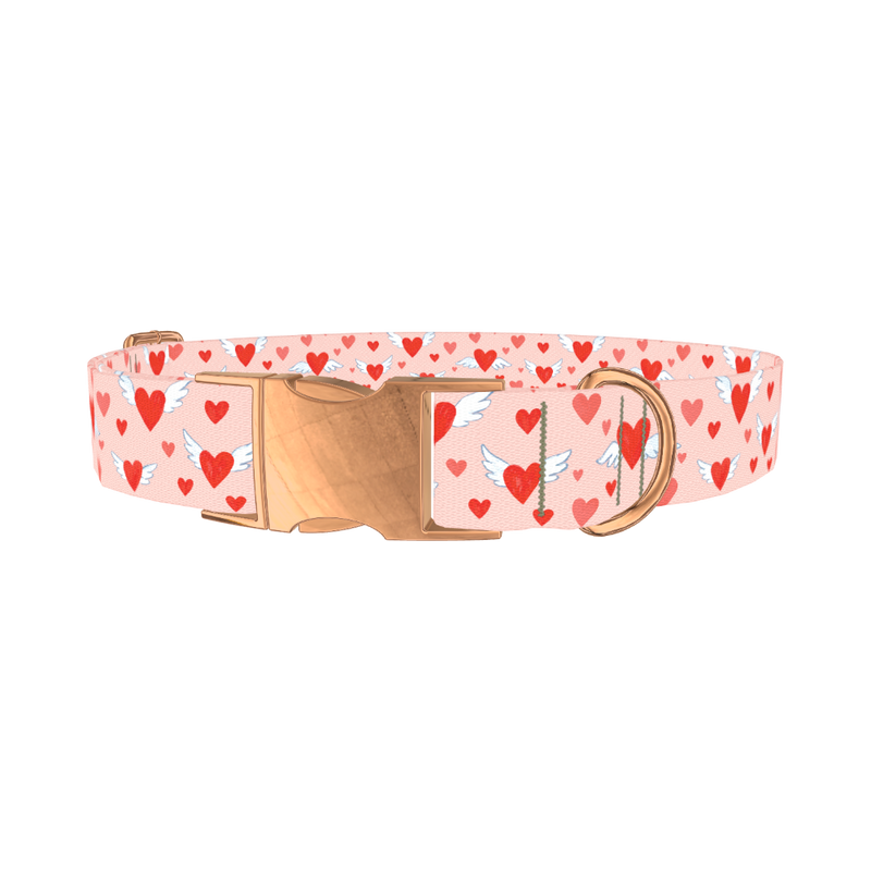 Flying Heart Dog Collar - metal rose gold
