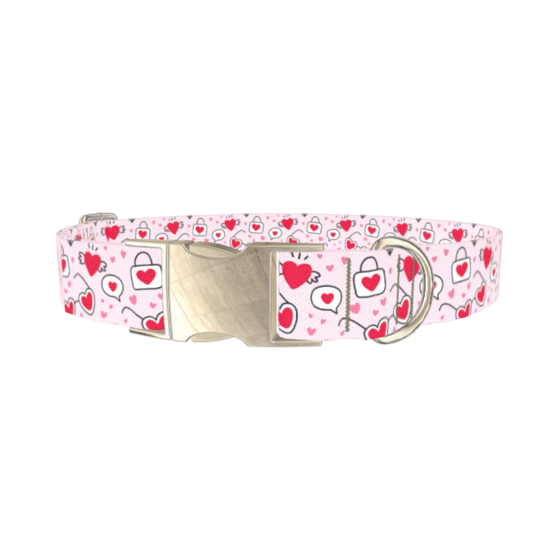 Heart Sunglasses Dog Collar - metal silver
